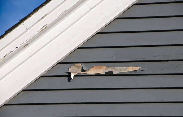 Best Weatherproofing and Sealing  in Cuba City, WI